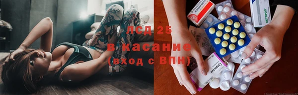 винт Абаза