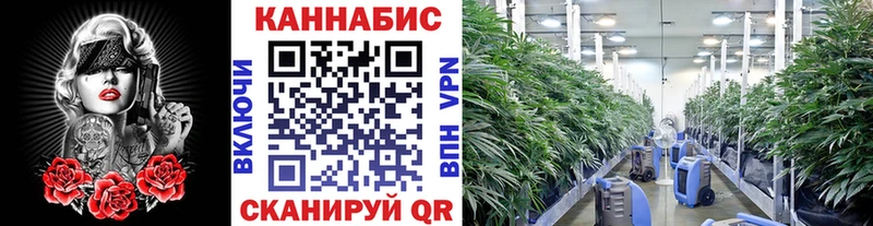 Каннабис гибрид Новое Девяткино